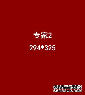 專家2